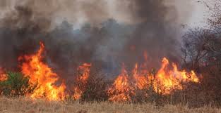 Power outages in Lenasia may have been caused by veld fires