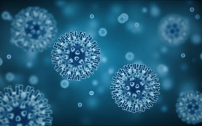 NICD Finds Epidemiologically Linked Cases Of Measles In Gauteng