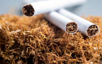 Global Adult Tobacco Survey Releases New Findings