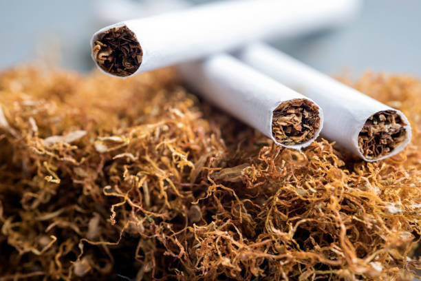 Global Adult Tobacco Survey Releases New Findings