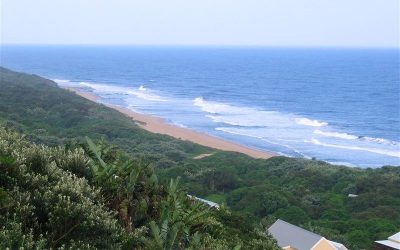 Coalition Talks Between ActionSA & DA In Kwadukuza Reach An Impasse