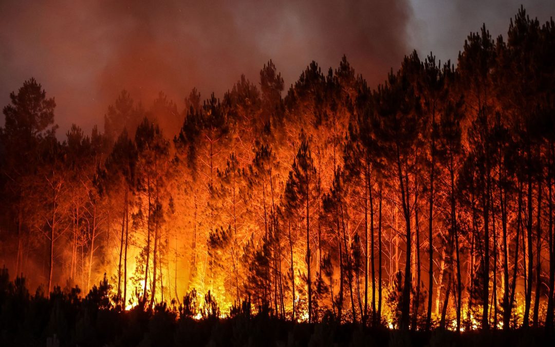 Heatwaves Initiate Wildfires While Killing Thousands Across Europe