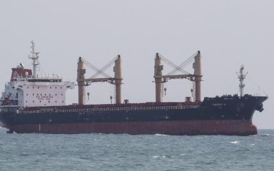 Two More Grain Ships Leave Ukraine