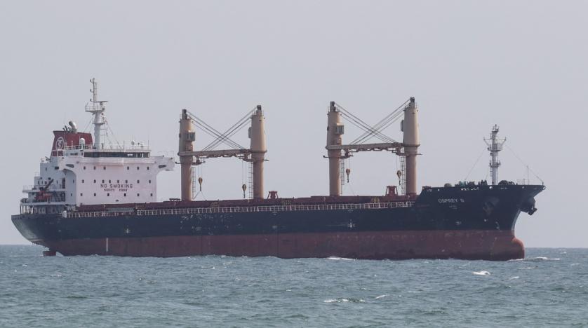 Two More Grain Ships Leave Ukraine