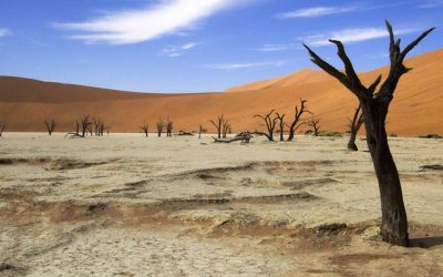 Africa Climate Weeks kicks off in Gabon as drought and floods loom