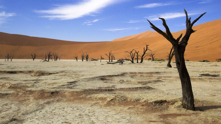 Africa Climate Weeks kicks off in Gabon as drought and floods loom