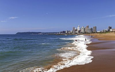 Durban closes its beaches after high levels of E-coli detected