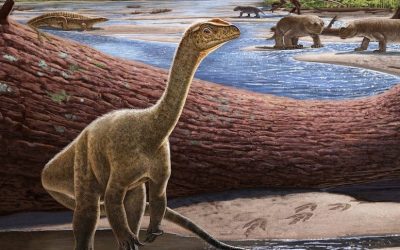 Africa’s oldest known dinosaur discovered in Zimbabwe