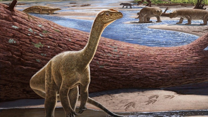 Africa’s oldest known dinosaur discovered in Zimbabwe