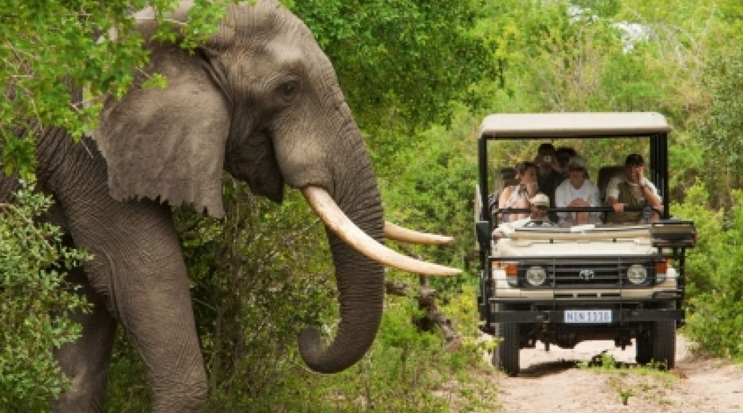 Africa’s tourism industry booms again after covid-19 lockdowns