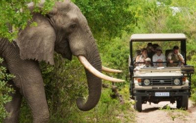 Africa’s tourism industry booms again after covid-19 lockdowns