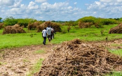 How human waste is sustaining livelihoods in Africa