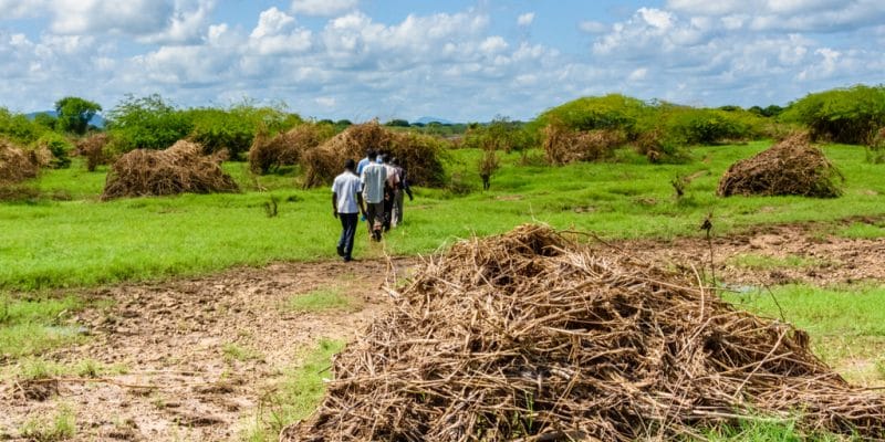 How human waste is sustaining livelihoods in Africa