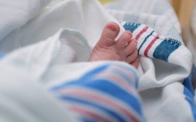 Belgian couple abandon baby at airport after being unable to buy a ticket for infant