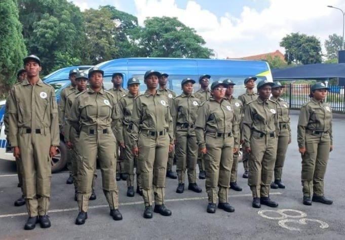 Will the new Gauteng crime prevention wardens be effective?
