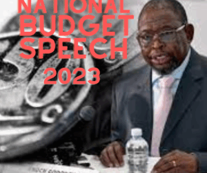 South Africans wait with bated breath for today’s National Budget Speech